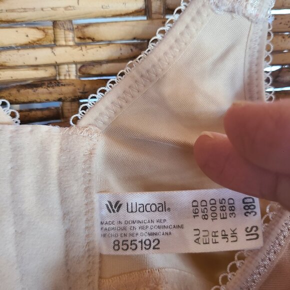 Wacoal 855192 Basic Beauty Seamless T-Shirt Bra Underwire 38D Beige - Picture 4 of 5
